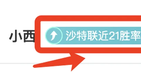 BB贝博艾弗森体育